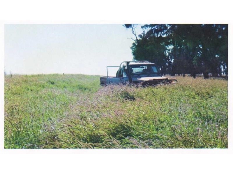 1303 Toolong Road, Tambo QLD 4478