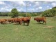 1065 Obi Obi  Road, Obi Obi QLD 4574
