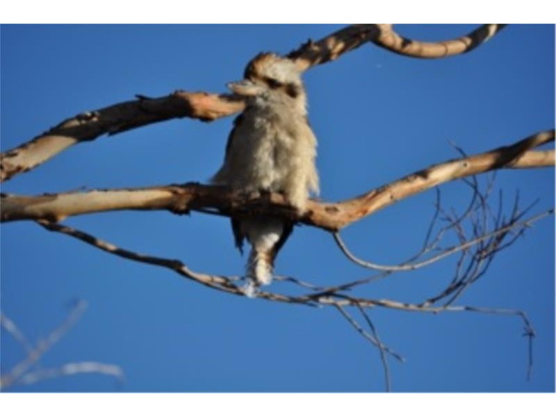 24287 Tasman Highway ‘Dianas Basin’, St Helens TAS 7216