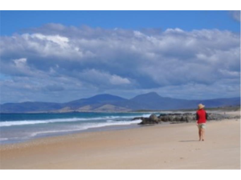 24287 Tasman Highway ‘Dianas Basin’, St Helens TAS 7216