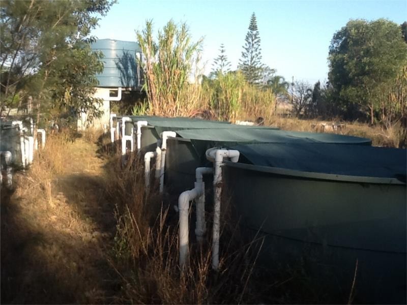 93 Lakeview Drive, Alloway QLD 4670