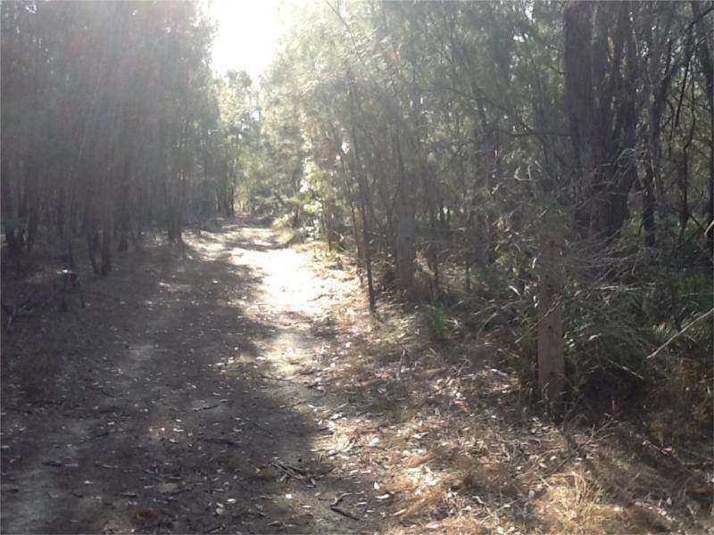 93 Lakeview Drive, Alloway QLD 4670