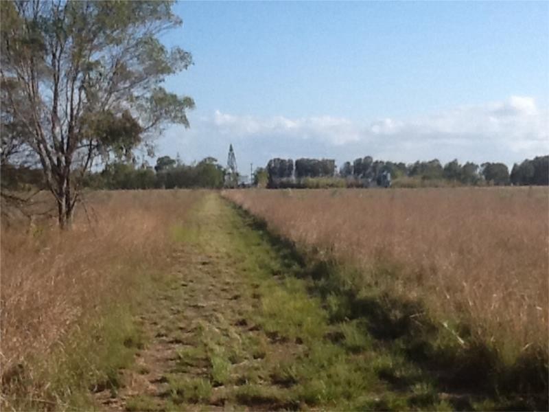 93 Lakeview Drive, Alloway QLD 4670