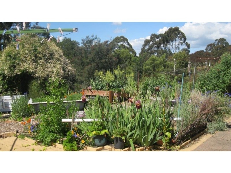 15 Yasmin Drive, Hernes Oak VIC 3825