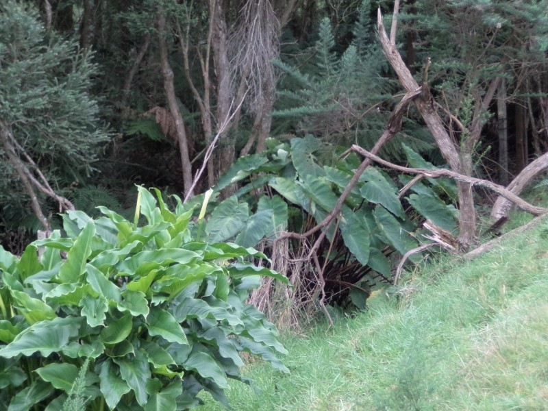 15 Yasmin Drive, Hernes Oak VIC 3825