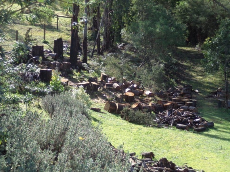 15 Yasmin Drive, Hernes Oak VIC 3825