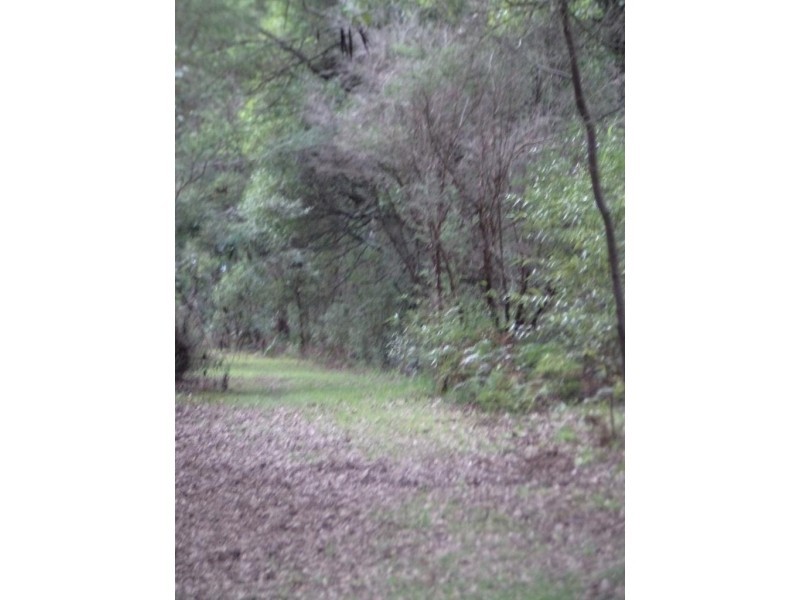 15 Yasmin Drive, Hernes Oak VIC 3825