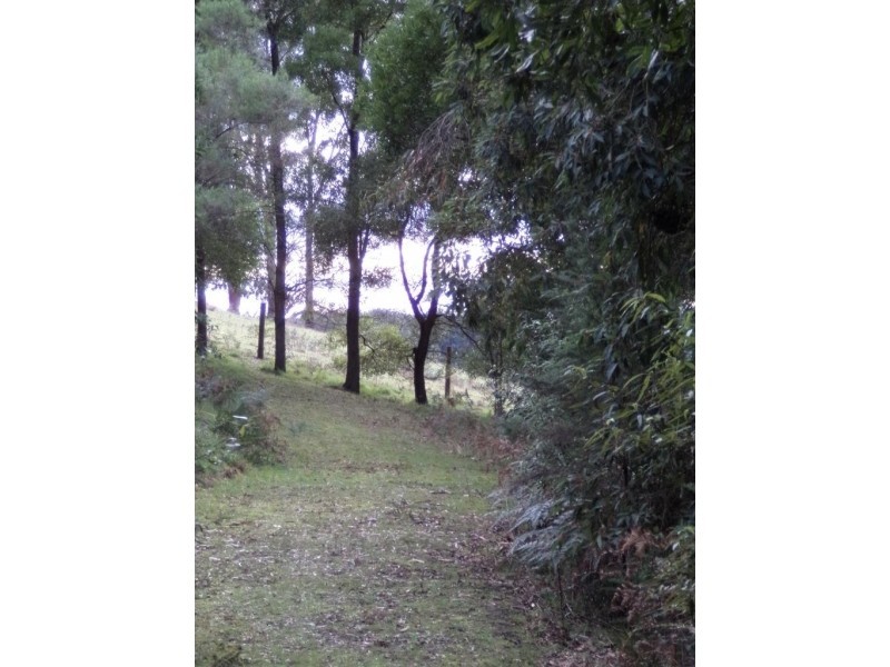 15 Yasmin Drive, Hernes Oak VIC 3825