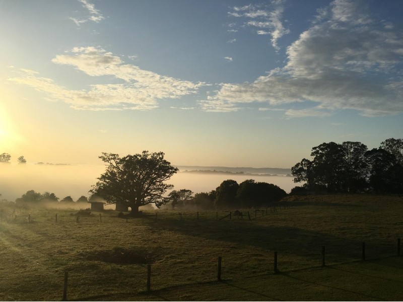 488 Dunoon Road, Tullera NSW 2480