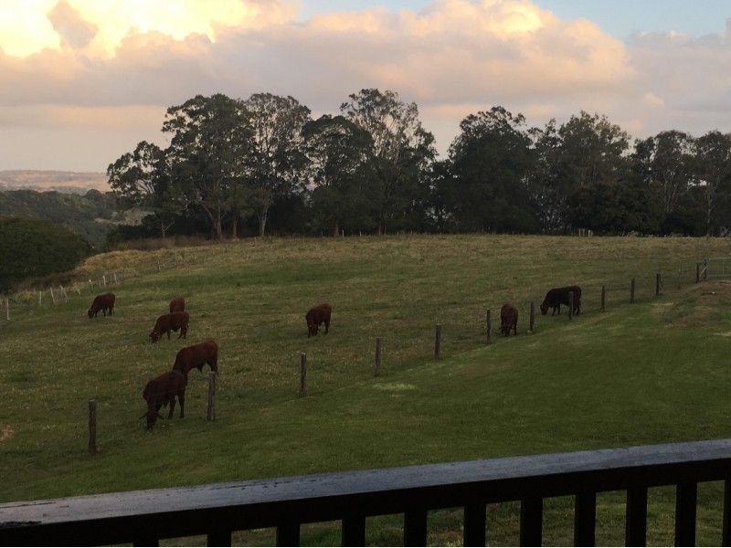 488 Dunoon Road, Tullera NSW 2480