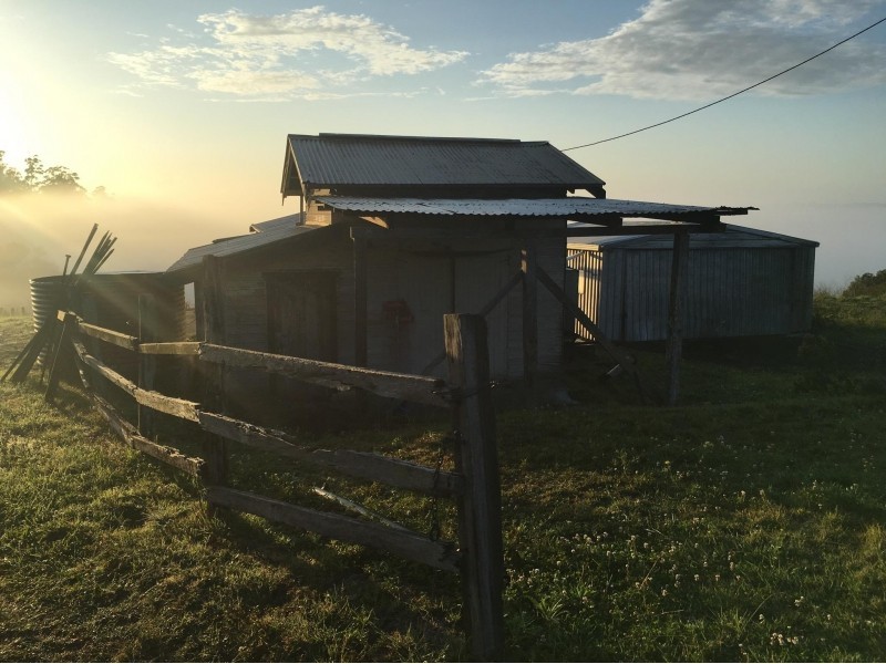 488 Dunoon Road, Tullera NSW 2480