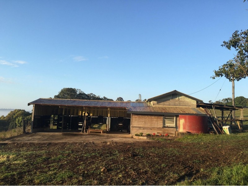 488 Dunoon Road, Tullera NSW 2480
