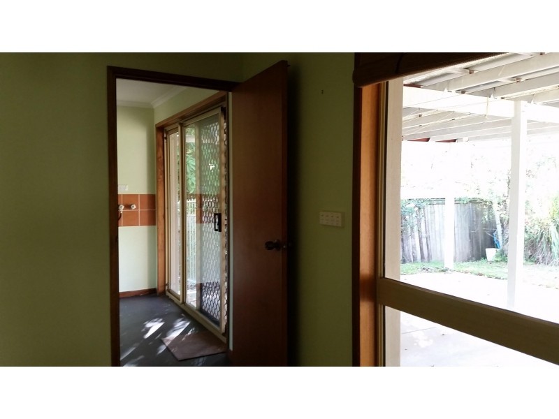3 Aminga Court, Palmwoods QLD 4555