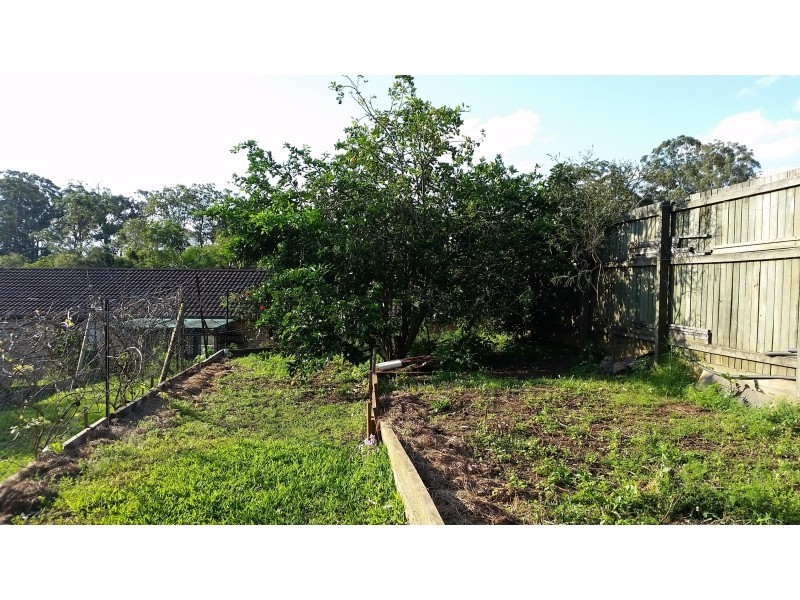 3 Aminga Court, Palmwoods QLD 4555