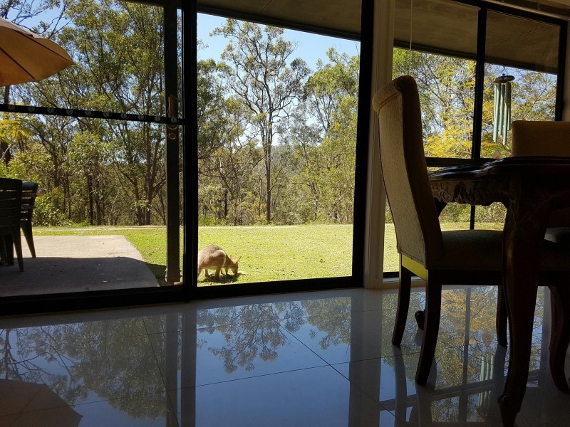 294 Mount Petrie Road, Mackenzie QLD 4156