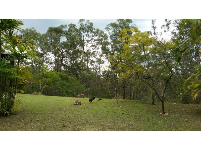 294 Mount Petrie Road, Mackenzie QLD 4156