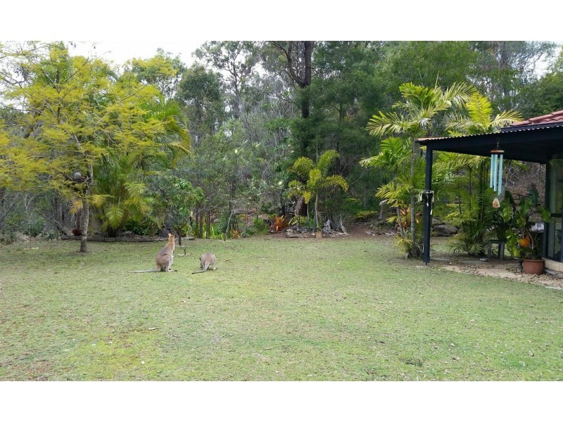 294 Mount Petrie Road, Mackenzie QLD 4156