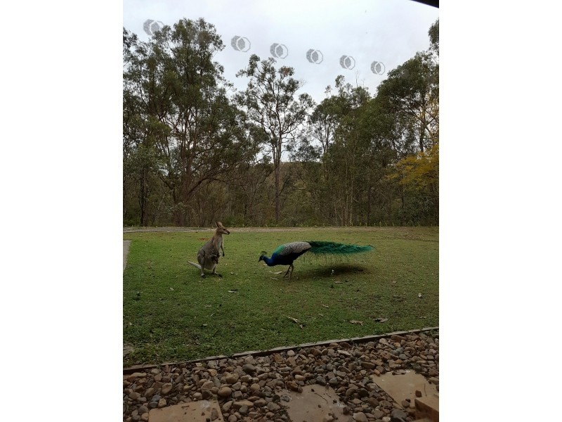 294 Mount Petrie Road, Mackenzie QLD 4156