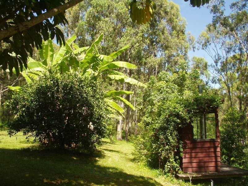 174 Frickers Road, Nymboida NSW 2460