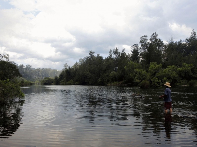 174 Frickers Road, Nymboida NSW 2460