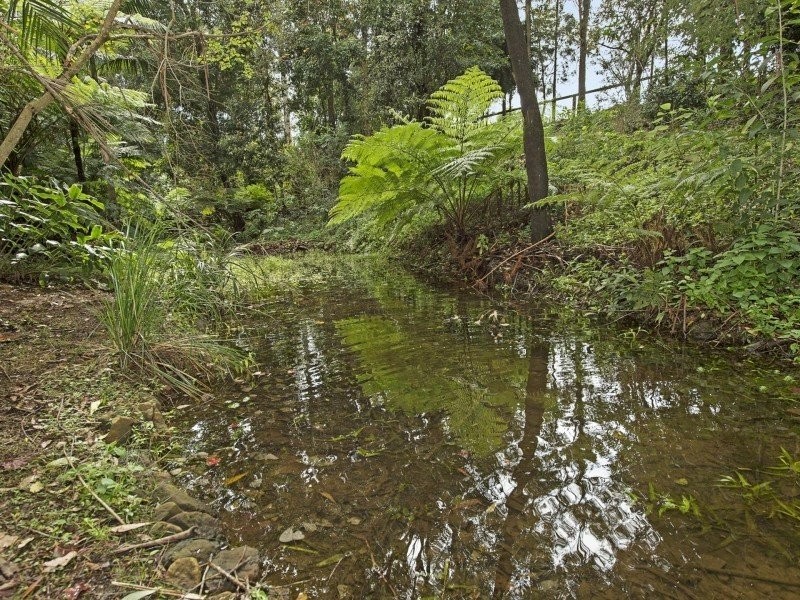 45-53 Holt Road, Tamborine Mountain QLD 4272