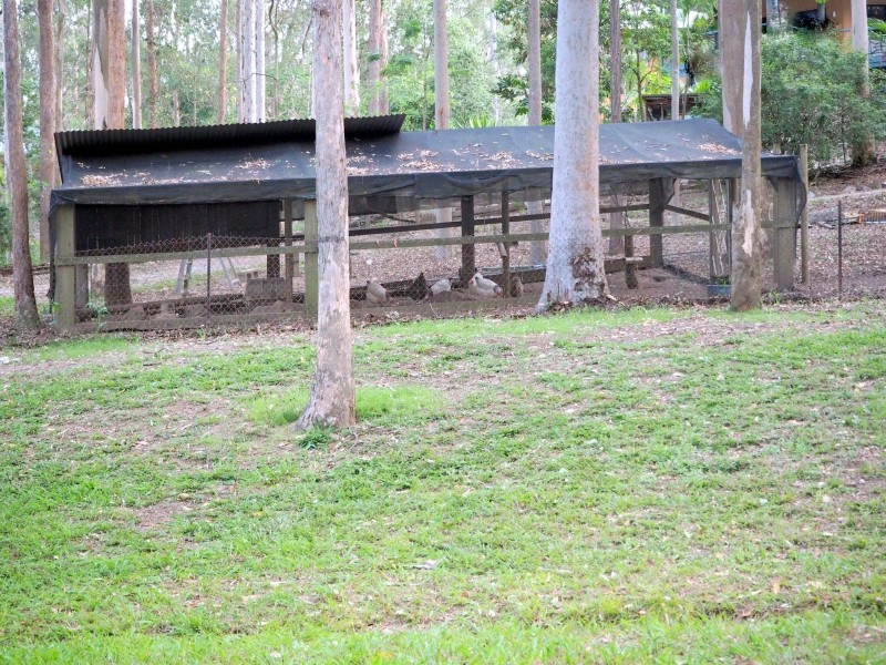 12 Harrier Place, Warner QLD 4500