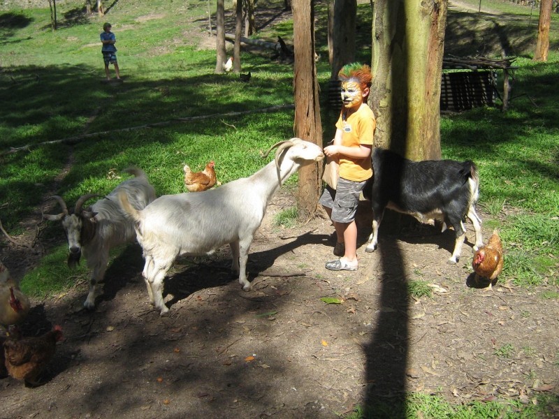 12 Harrier Place, Warner QLD 4500