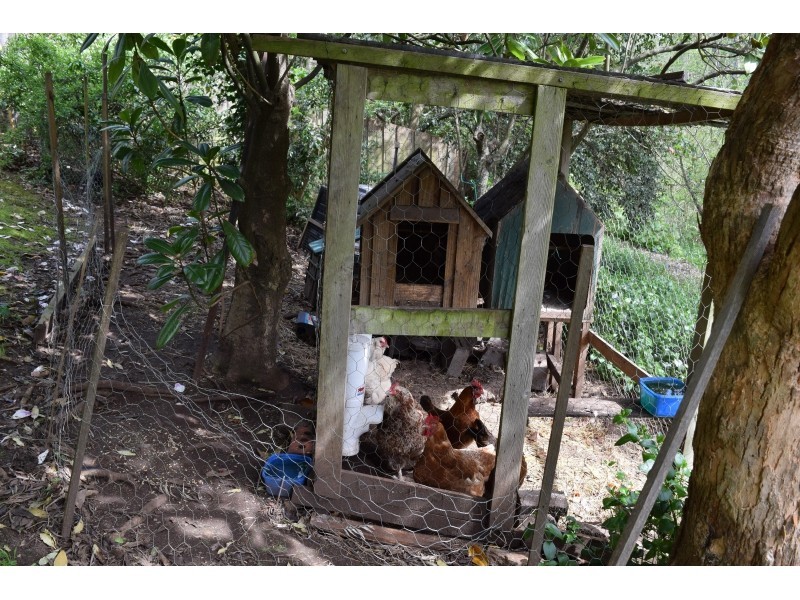 23 Longwood Avenue, Newstead TAS 7250