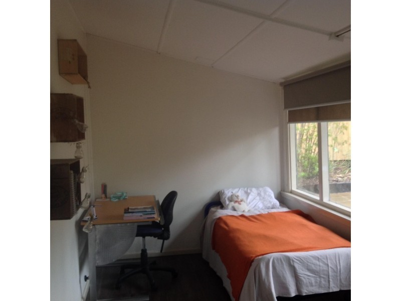 823 Laurie Street, Mount Pleasant VIC 3350