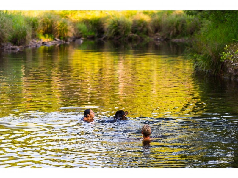 401 Terania Creek Road, Terania Creek NSW 2480