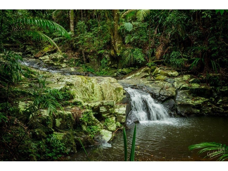 401 Terania Creek Road, Terania Creek NSW 2480