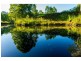 401 Terania Creek Road, Terania Creek NSW 2480