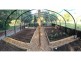 401 Terania Creek Road, Terania Creek NSW 2480