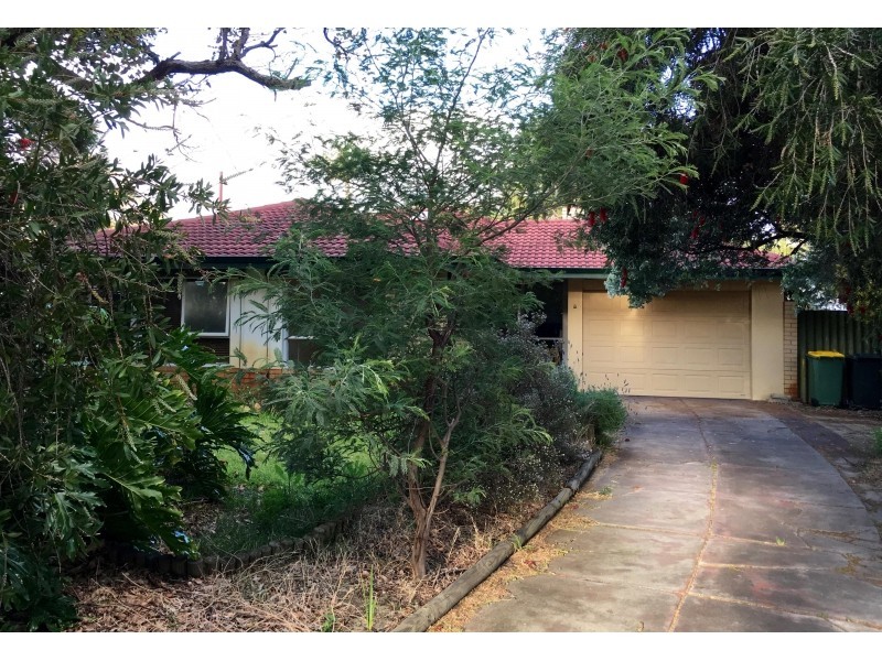 7 Hendon Place, Wilson WA 6107