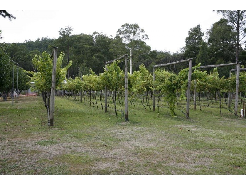 3565 Yarra Junction – Noojee Road, Piedmont VIC 3833