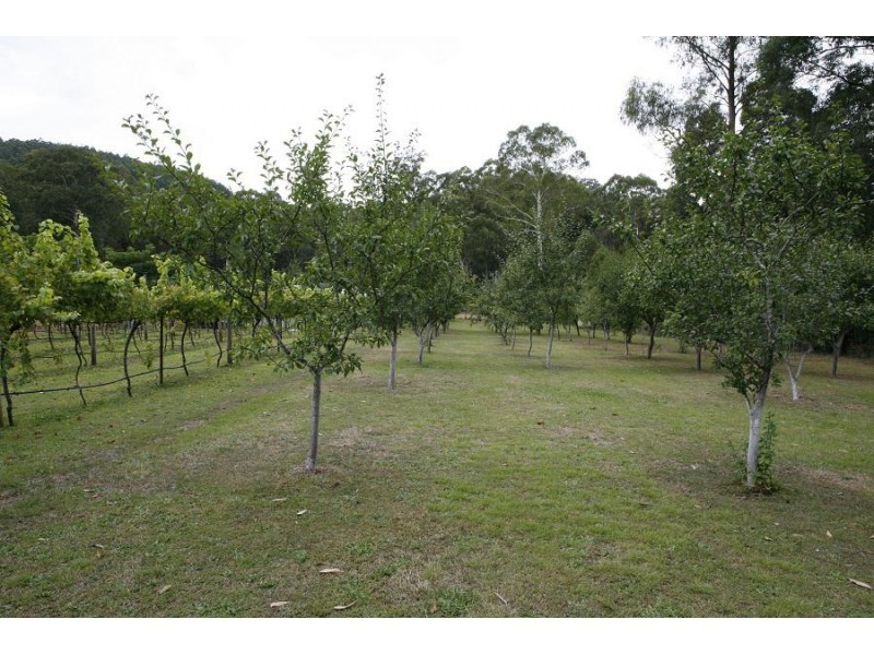 3565 Yarra Junction – Noojee Road, Piedmont VIC 3833