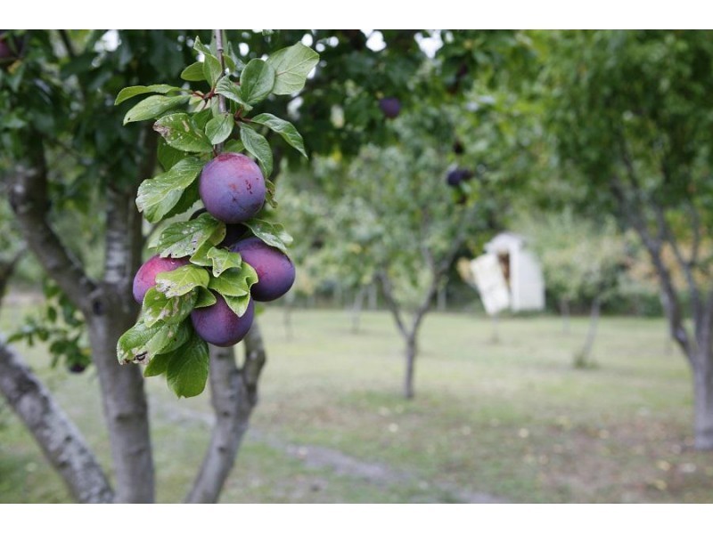 3565 Yarra Junction – Noojee Road, Piedmont VIC 3833