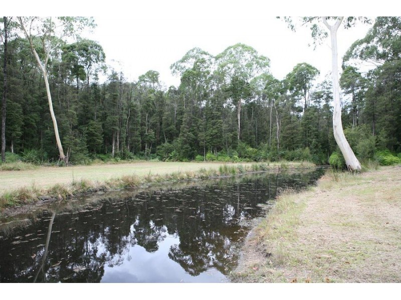 3565 Yarra Junction – Noojee Road, Piedmont VIC 3833