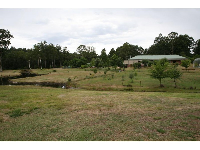 3565 Yarra Junction – Noojee Road, Piedmont VIC 3833