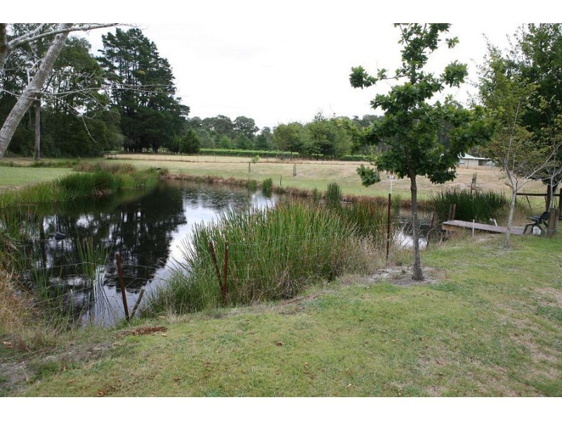 3565 Yarra Junction – Noojee Road, Piedmont VIC 3833