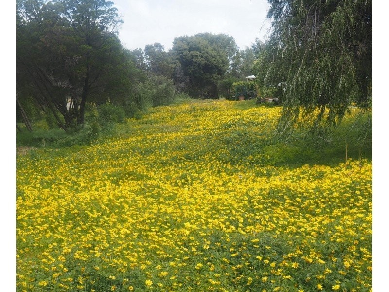 181/3 Powell Road (Coogee Park – 181 Kumarina Way), Coogee WA 6166