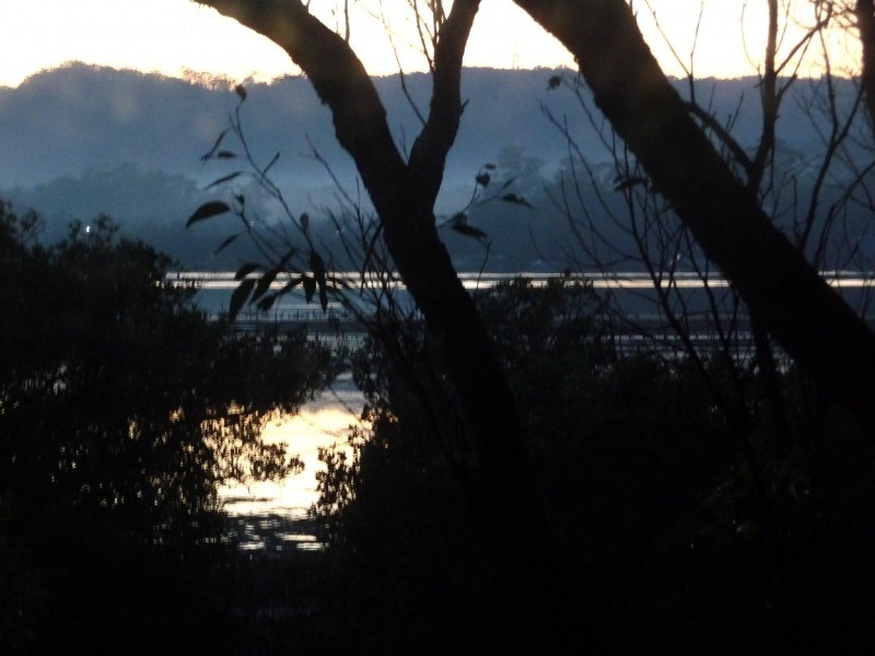 19 Alkoomie Close, Davistown NSW 2251