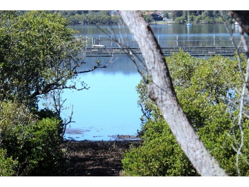 19 Alkoomie Close, Davistown NSW 2251