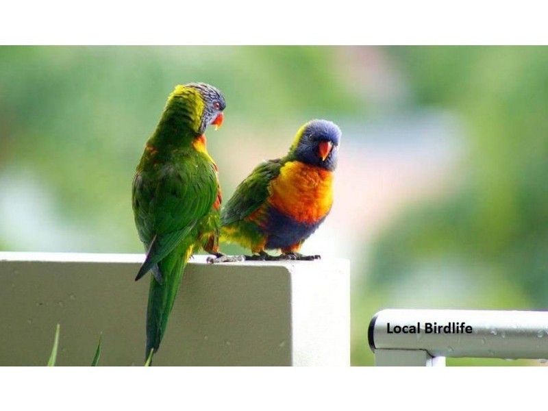 2503/12 Executive Drive, Burleigh Waters QLD 4220