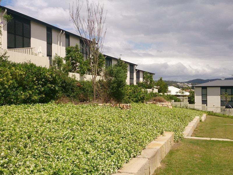 21/14 Norris Street, Pacific Pines QLD 4211