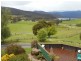 Meander TAS 7304