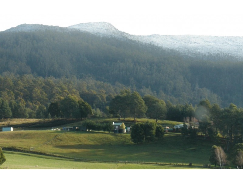 Meander TAS 7304
