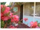 29 Hoskin Street, Cloverdale WA 6105