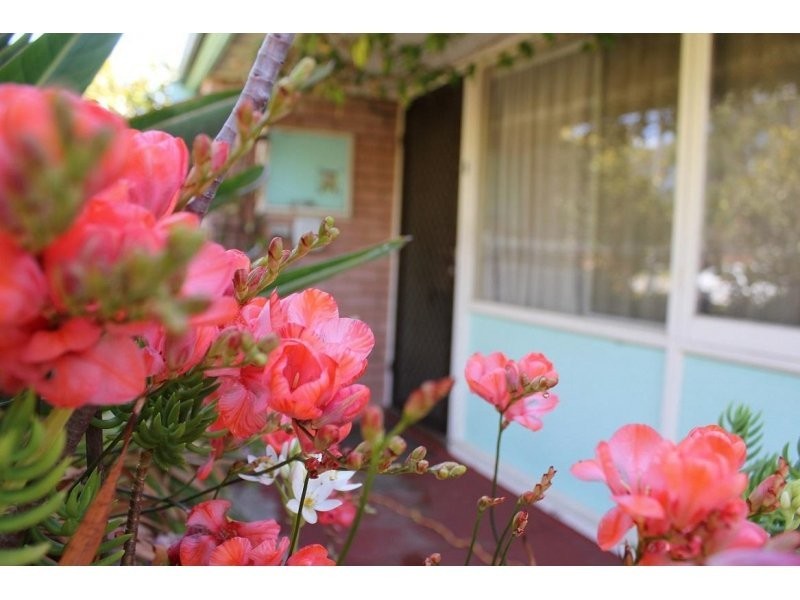 29 Hoskin Street, Cloverdale WA 6105