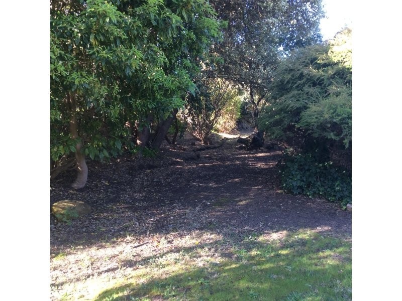 13 Deane Street, Mount Barker WA 6324